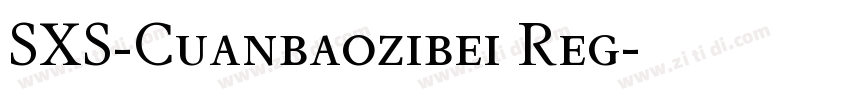 SXS-Cuanbaozibei Reg字体转换